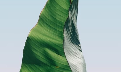 pierre-chatel-innocenti-muMR2IhCbZ0-unsplash